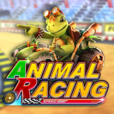 Animal Racing