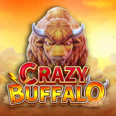 Crazy Buffalo